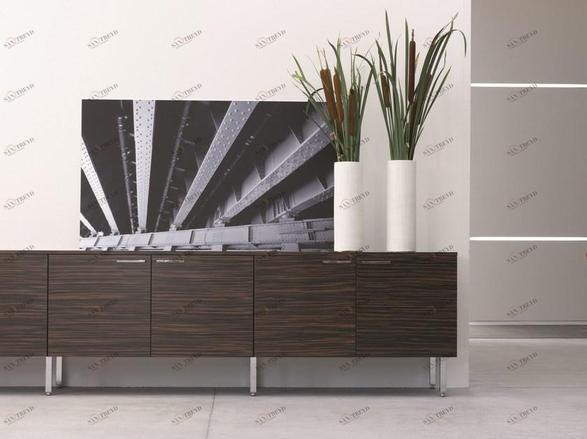 Sinetica Низкий офисный ящик для хранения из дерева с распашными дверцами sun-id-1507938