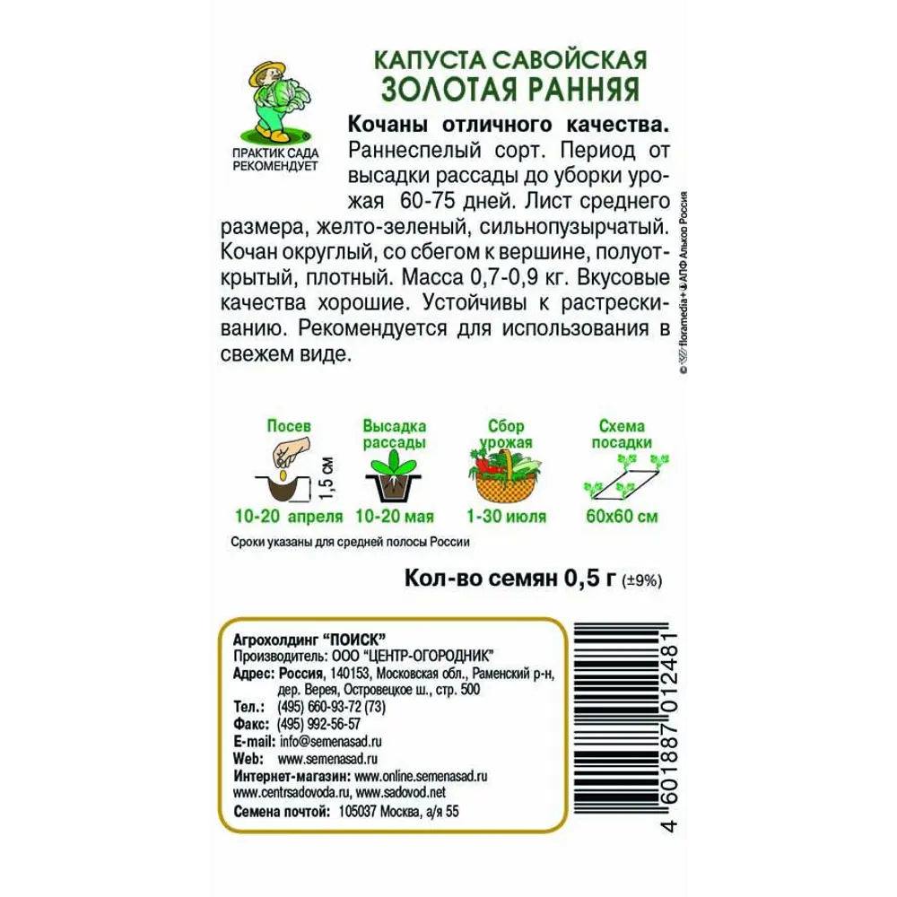 Семена савойской капусты «Золотая ранняя» от ПОИСК — ранний урожайный сорт 83124505 STLM-1506564 - Вид №1