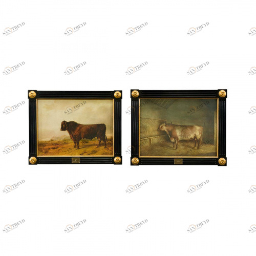 Картины / Williams Theodore Alexander sun-id-374684