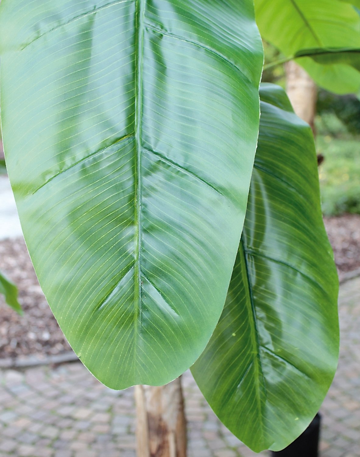 5782 883 a3 Банановое дерево из шелка, в горшке, 270 см, зеленое H-andreas  - Вид №3