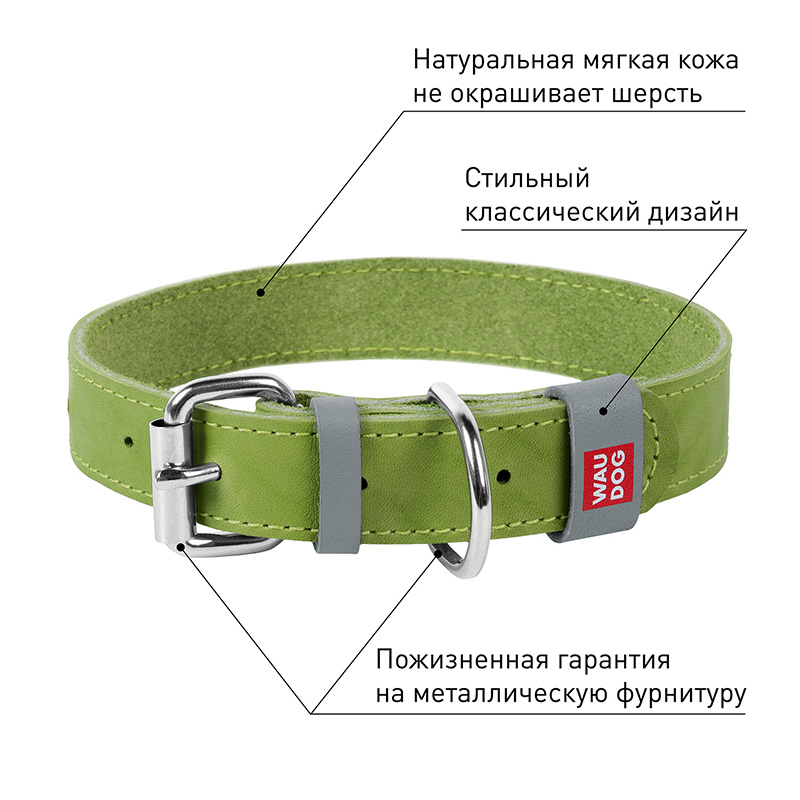ПР0053727 Ошейник для собак Waudog Classic кожа, металлическая пряжка (шир.25мм, дл.38-49см) салатовый COLLAR  - Вид №2