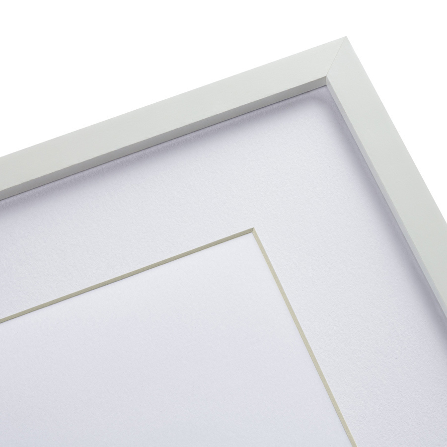 Картина в раме 42х32 см Himalaya Plants Pink-Flower on white III, 1869г. КАРТИНЫ В КВАРТИРУ  264653 Белый;розовый;разноцветный  - Вид №4