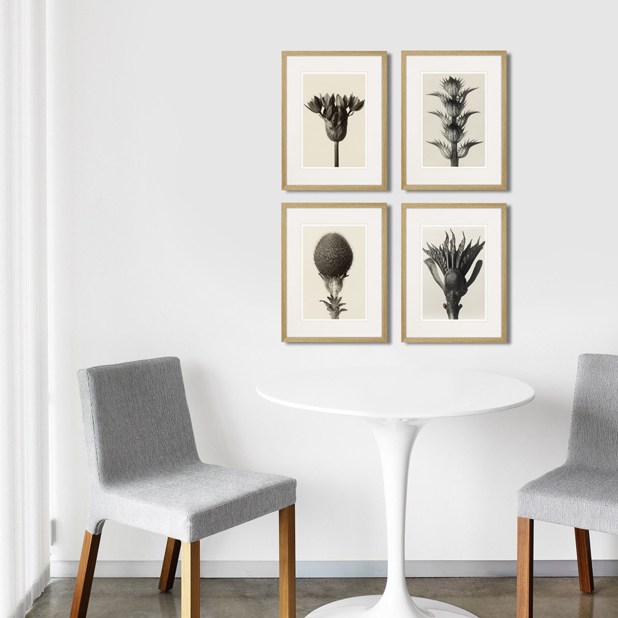 Картина: Botanical philosophy of forms №6, 1912г. КАРТИНЫ В КВАРТИРУ  264880 Разноцветный  - Вид №2