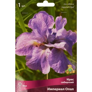 Ирис сибирский Империал Опал 1 шт. 83588519 STLM-2189662