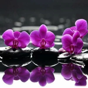 WP01869 Фотообои Verol Фотообои decoline 1х1 м