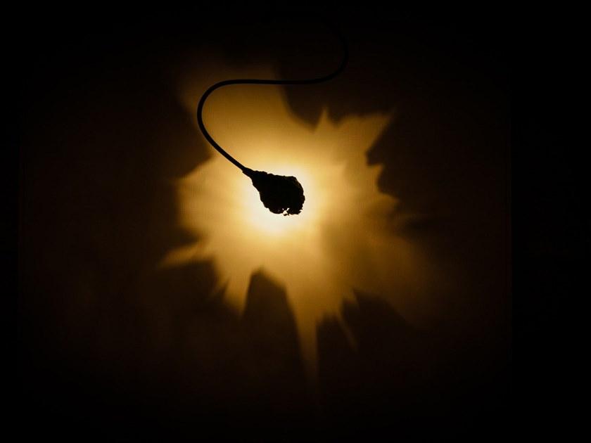 Catellani & Smith Настенный светодиодный светильник с гибким кронштейном Oggetti senza tempo sun-id-1490218 - Вид №1