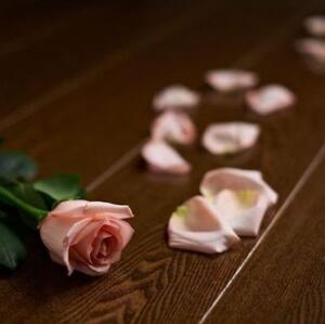 Массивная доска Amber Wood Шоколад Ясень (Гладкая) 300-1800х120 мм.