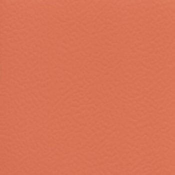 Упругие спортивные полы gerflor ARCH-00000800 - Вид №1