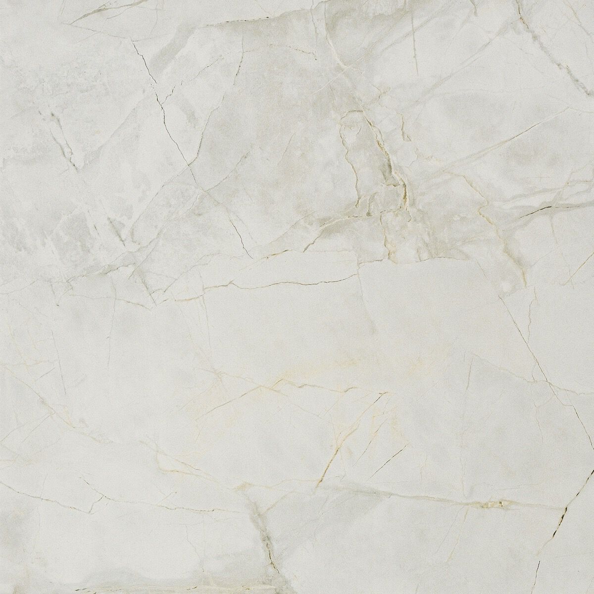 Пол / керамогранит с мраморным эффектом RECER Griseo ARCH-00071907 - Вид №4