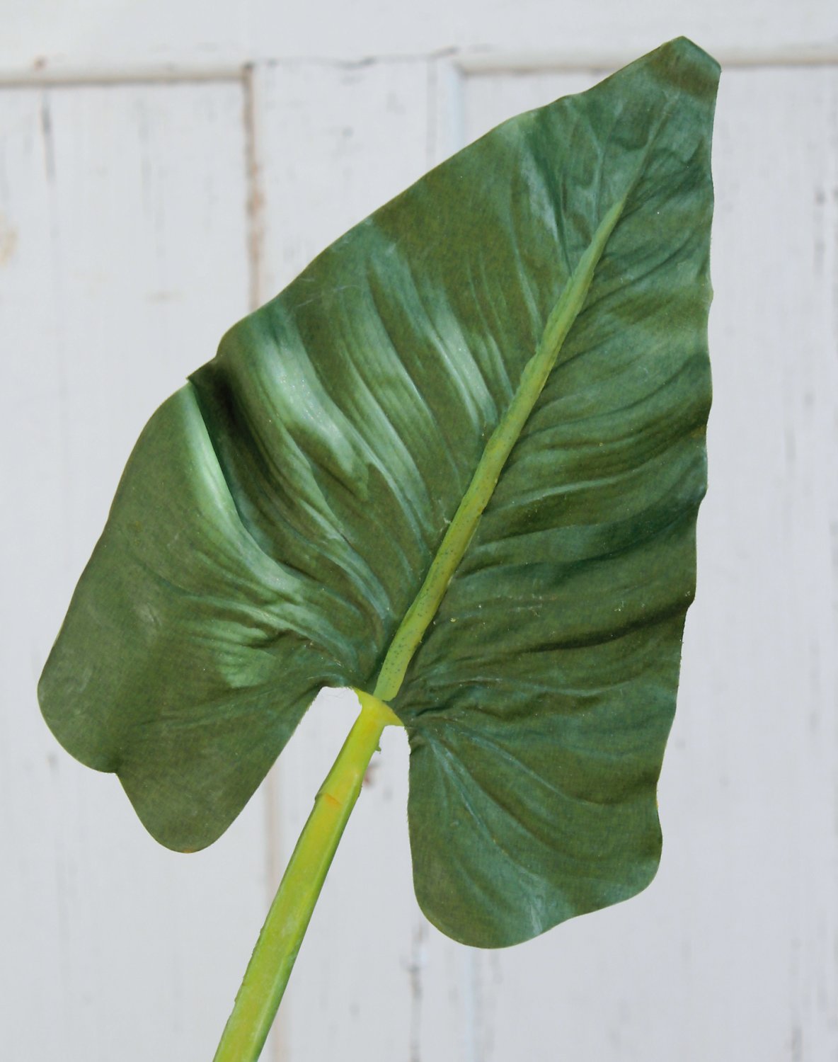 5155 883 a2 Искусственный лист зантедескии, 84 см, зеленый H-andreas  - Вид №1