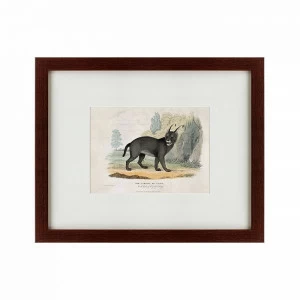 Картина: A caracal or lynx, 1830 КАРТИНЫ В КВАРТИРУ  135637 Разноцветный