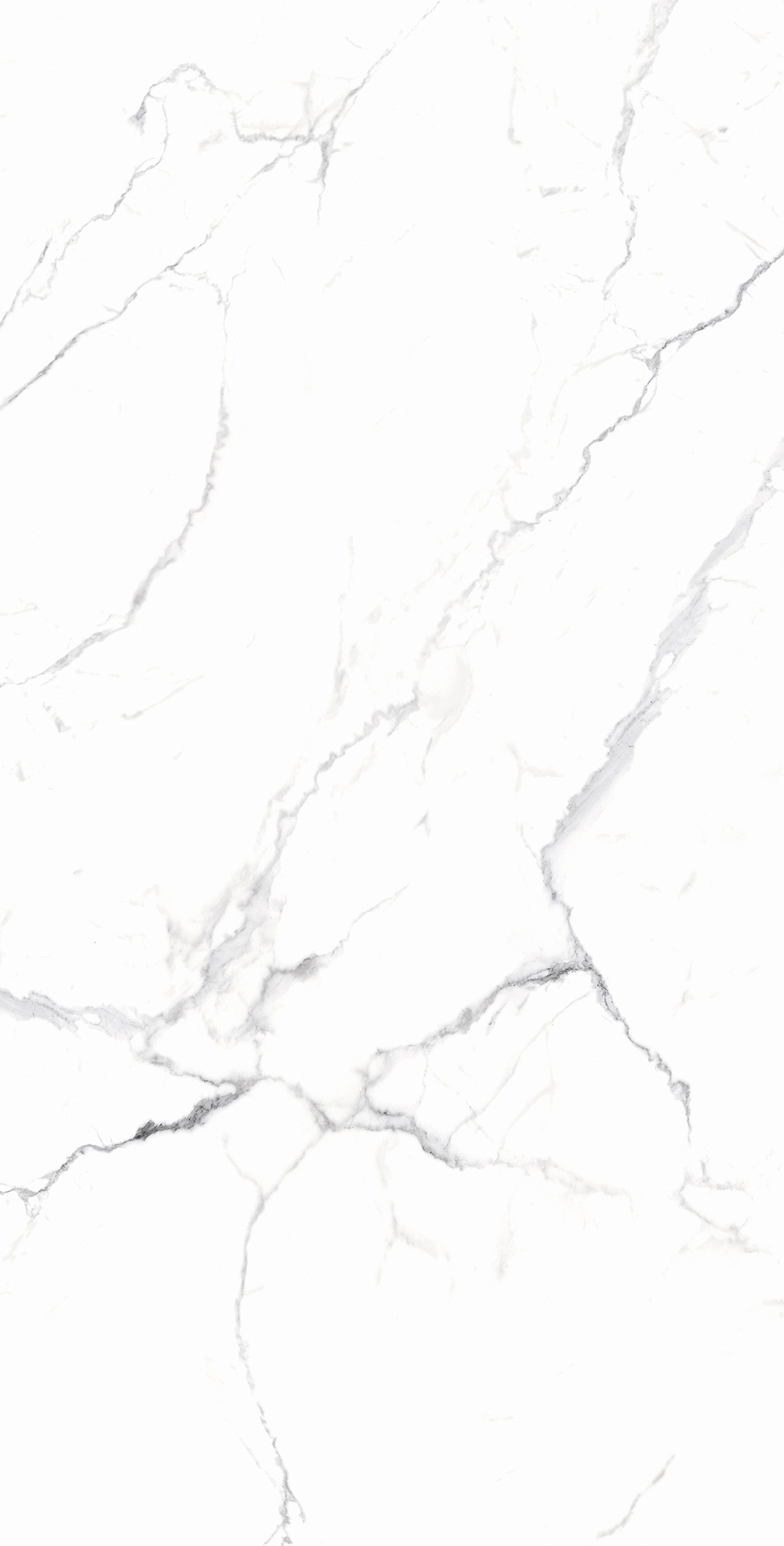 Белоснежный мраморный керамогранит CARARRA WHITE RT7018-A Arcadia Ceramica - Вид №1