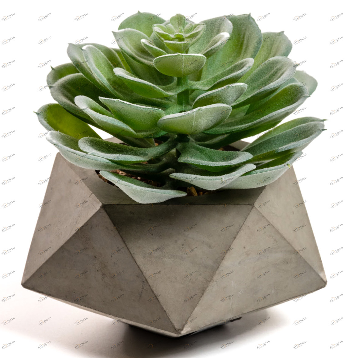 Цветок искусственный в горшке многоугольник Echeveria glauca от La Forma LA FORMA  342252 