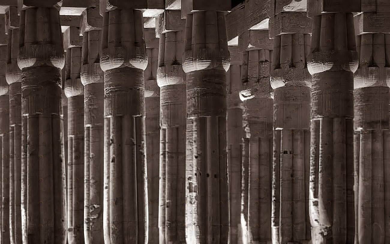 Фотокартина 52х100 см "Лотосы" PANKOVSKY STUDIO ПЛАСТИФИКАЦИЯ 015932 Бежевый;коричневый 