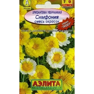 Хризантема увенчанная Симфония, смесь 13887683 STLM-2203439