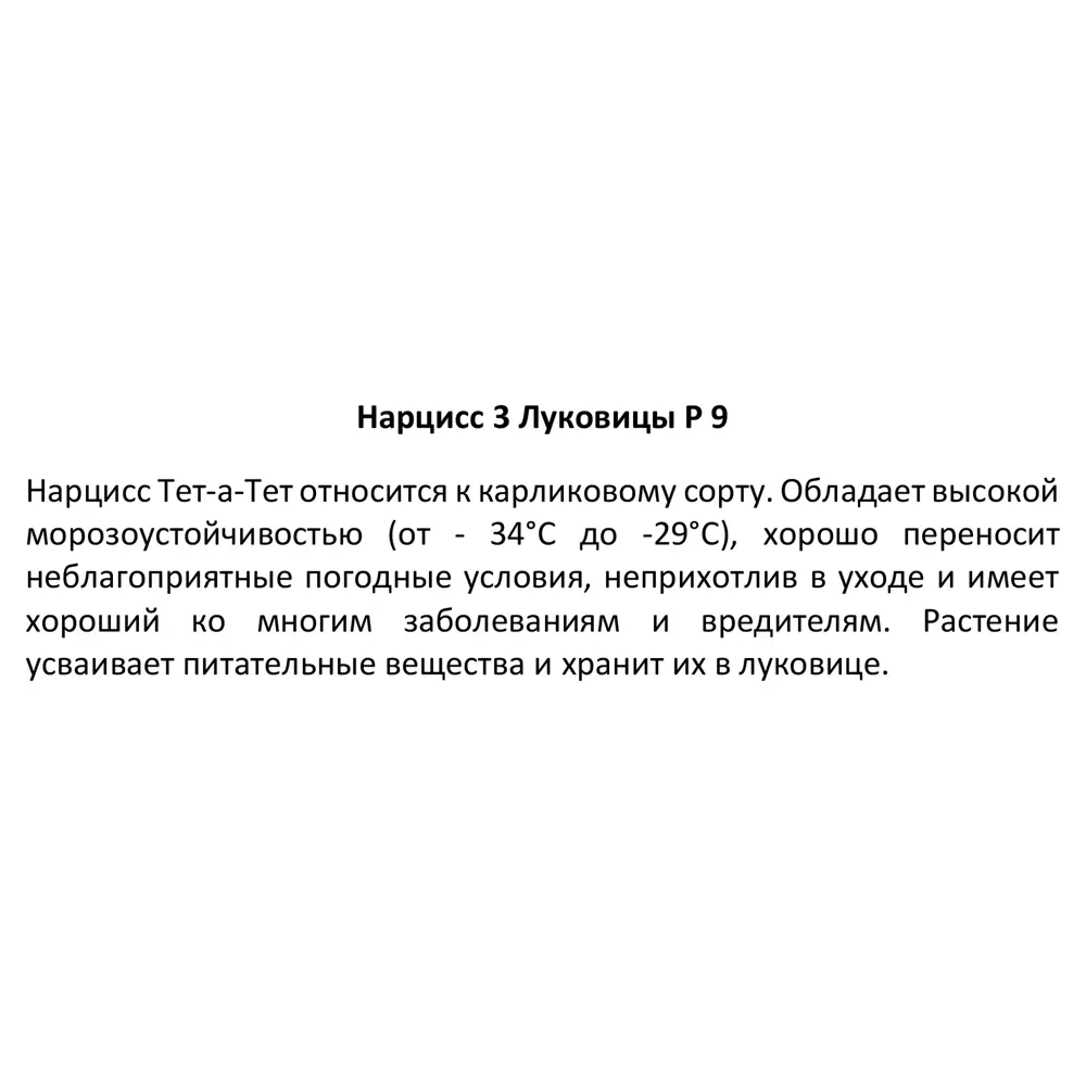 Нарцисс 3 луковицы ø9 h15 см 89352040 STLM-2068458 Santreyd  - Вид №3