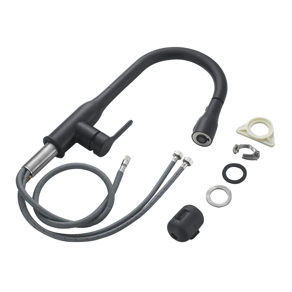 Кухонный смеситель DELINIA Fanny в матово-черном исполнении 84752045 STLM-0878106 - Вид №7