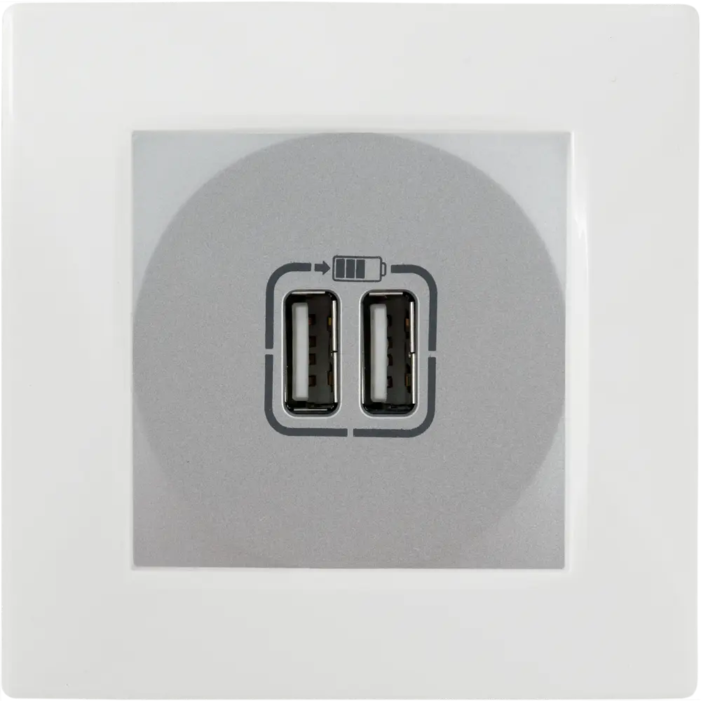 Зарядное устройство USB тип А / тип А - Legrand Etika - 3000мА 15Вт - алюминий STLM-2193472 - Вид №3