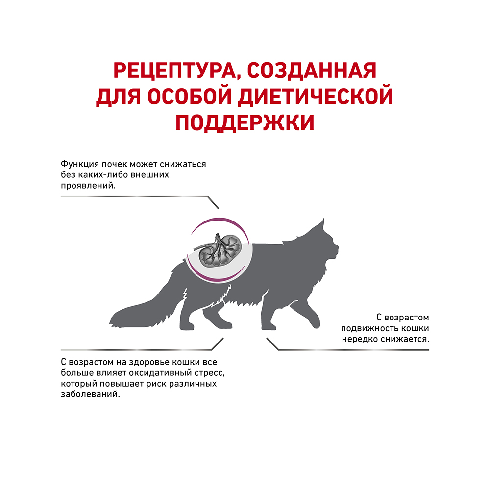 ПР0056144 Корм для кошек Vet Diet Early Renal при ранней стадии почечной недостаточности сух. 400г ROYAL CANIN  - Вид №2
