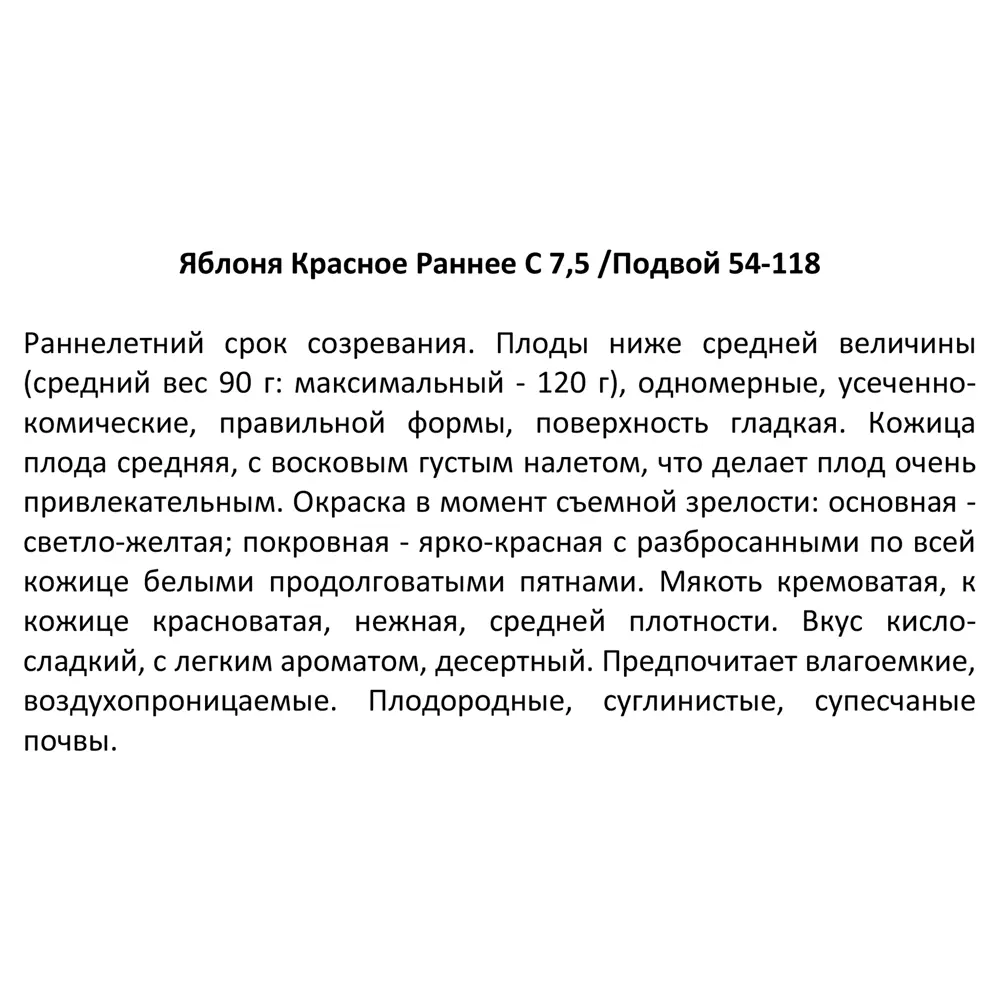 Яблоня Красное раннее ø25 h100 см 85325533 STLM-2126369 Santreyd  - Вид №3