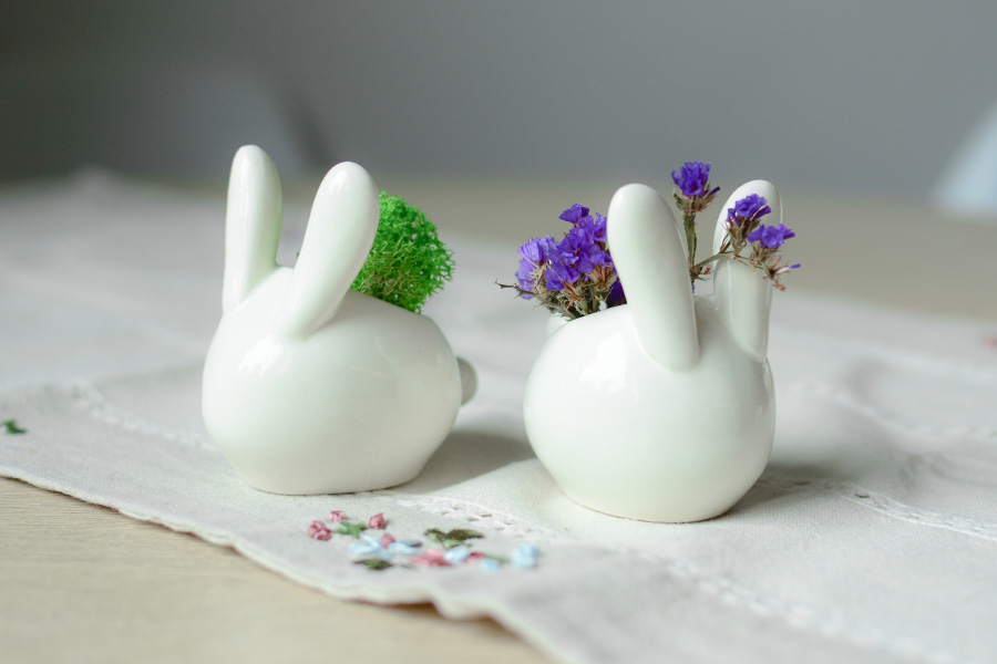 ECZ-1-01 Набор для выращивания eco "зайчик" Экочеловеки  - Вид №1