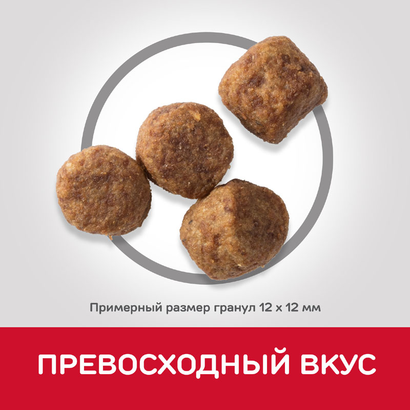 Т0055163 Корм для собак Hill"s Science Plan для средних пород от 7 лет, курица сух. 12кг Hill's  - Вид №4