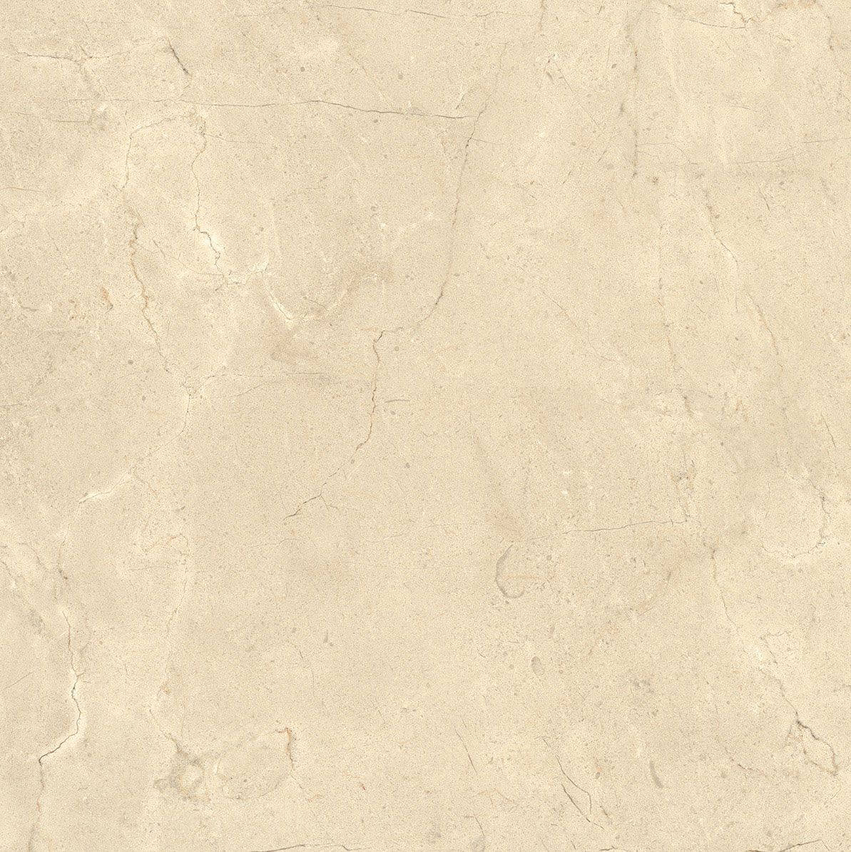 Пол / облицовка керамогранита с эффектом камня Italgraniti Calcis ARCH-00078048 - Вид №30
