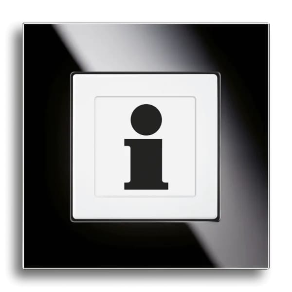 Выключатель Busch-Jaeger BUSCH INFO LIGHT ARCH-00081189 - Вид №4