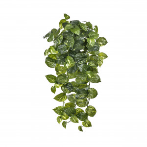 2000983191243 Потос крупнолистный ампельный большой CARPET DECOR