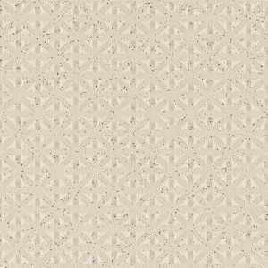 K75873300001VTE0  Vitraglobal PRO Function