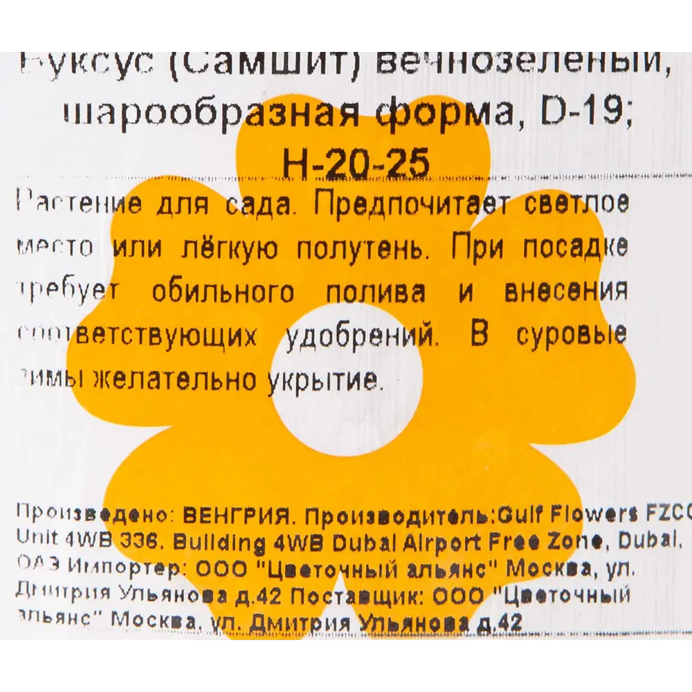 Буксус форма шар 19x20 см 82601598 STLM-2118752 Santreyd  - Вид №1