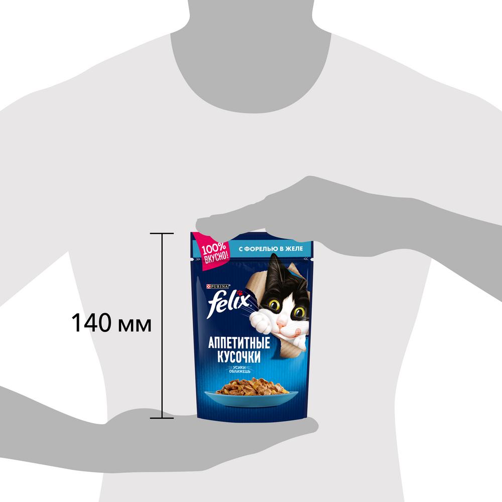 ПР0024863 Корм для кошек Аппетитные кусочки с форелью в желе, пауч 85 г FELIX  - Вид №9