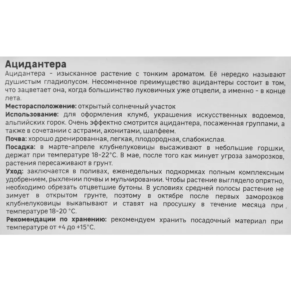 Ацидантера Geolia двухцветная Вайт 5 шт 86408664 STLM-2181949  - Вид №3