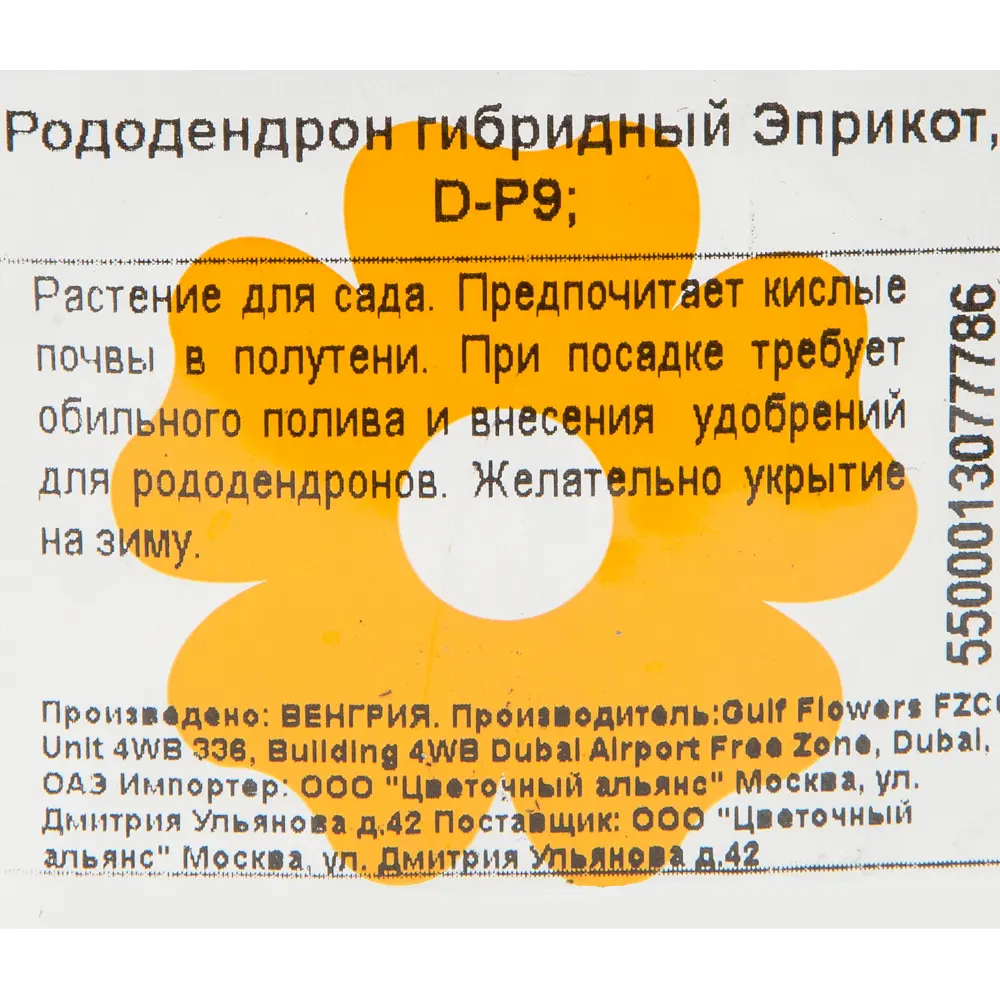Рододендрон гибридный «Эприкот» 9x20 см 82601867 STLM-2173144 Santreyd  - Вид №1
