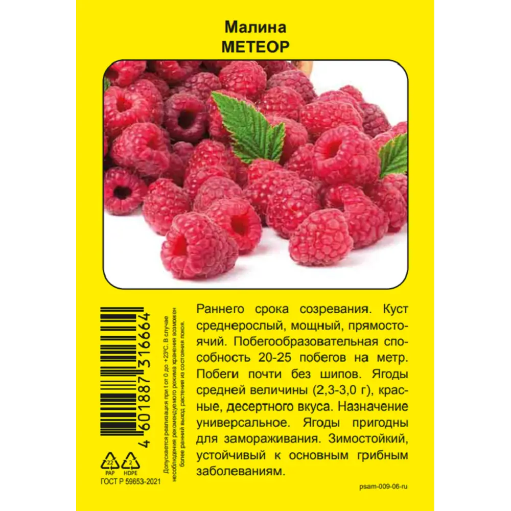 Малина Промо микс h37 см 89452470 STLM-2199250 Santreyd  - Вид №1