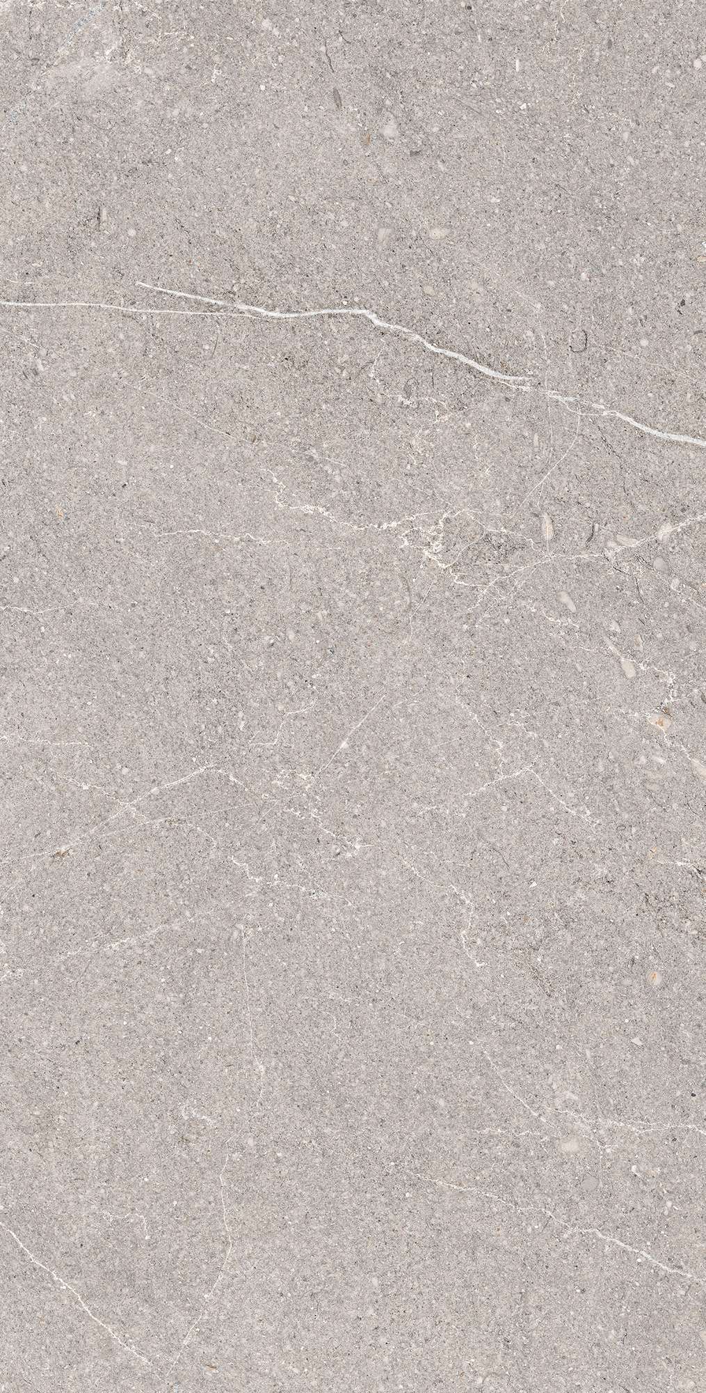 EQUISTONE GRIS: Элегантность природного камня RG6001-A Arcadia Ceramica - Вид №5