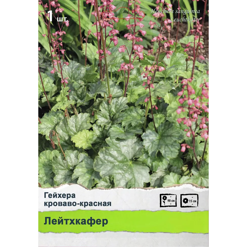 Многолетники Промо 89452319 STLM-2046450 ПОИСК  - Вид №1