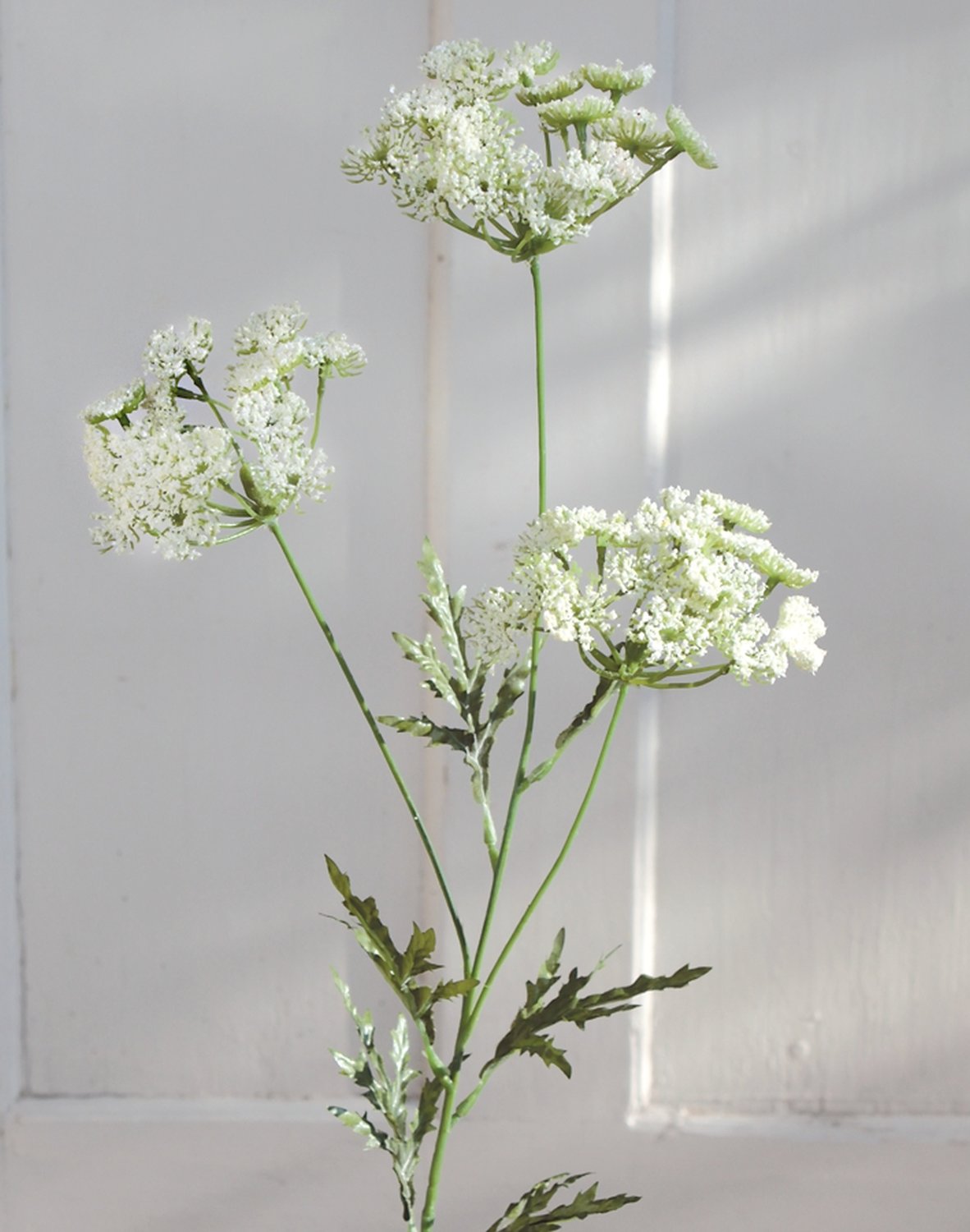 3535 777 a2 Шелковый тысячелистник, 3 цветка, 65 см, белый H-andreas  - Вид №4