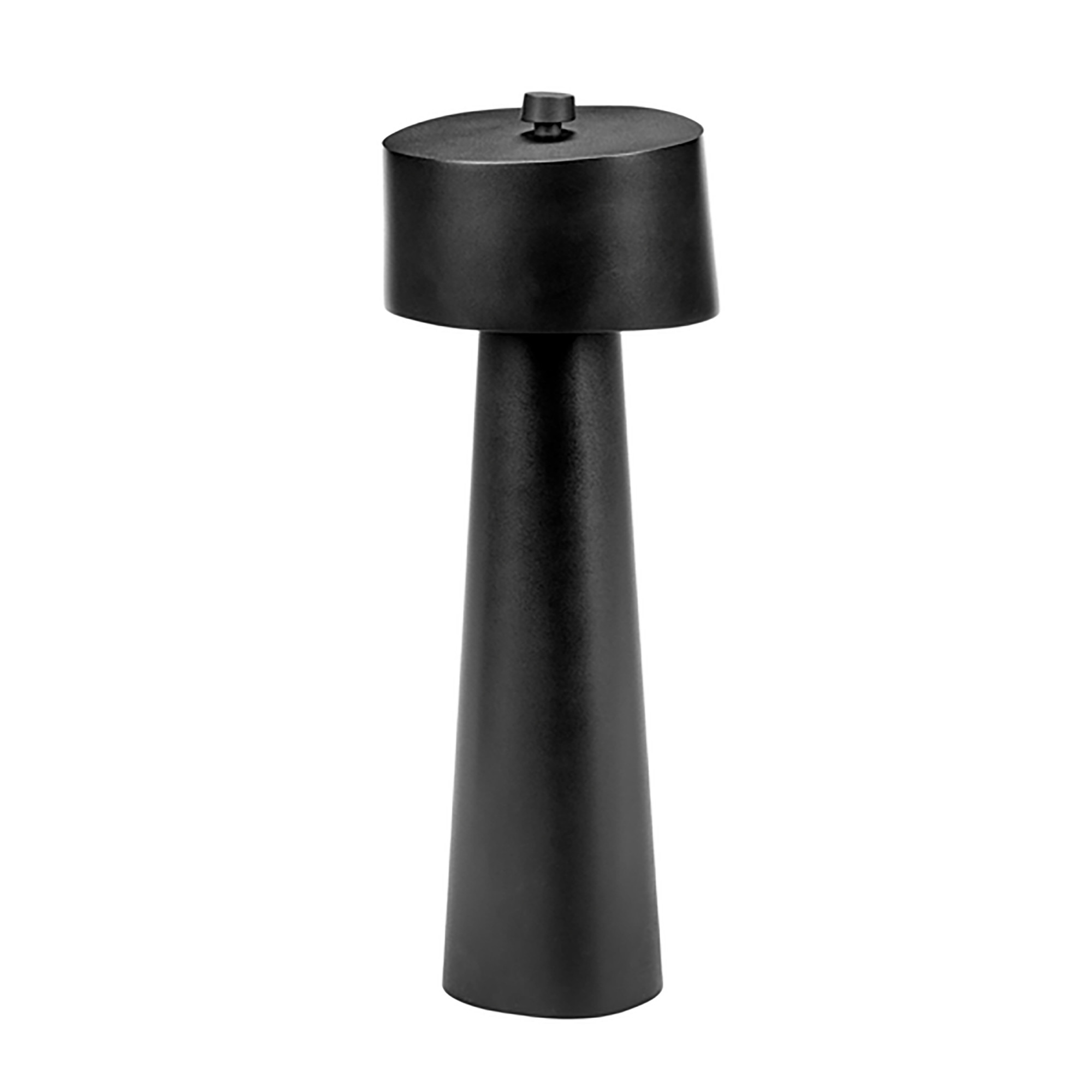 2000983244062 Перечница MAARTEN SERAX Maarten Bass 