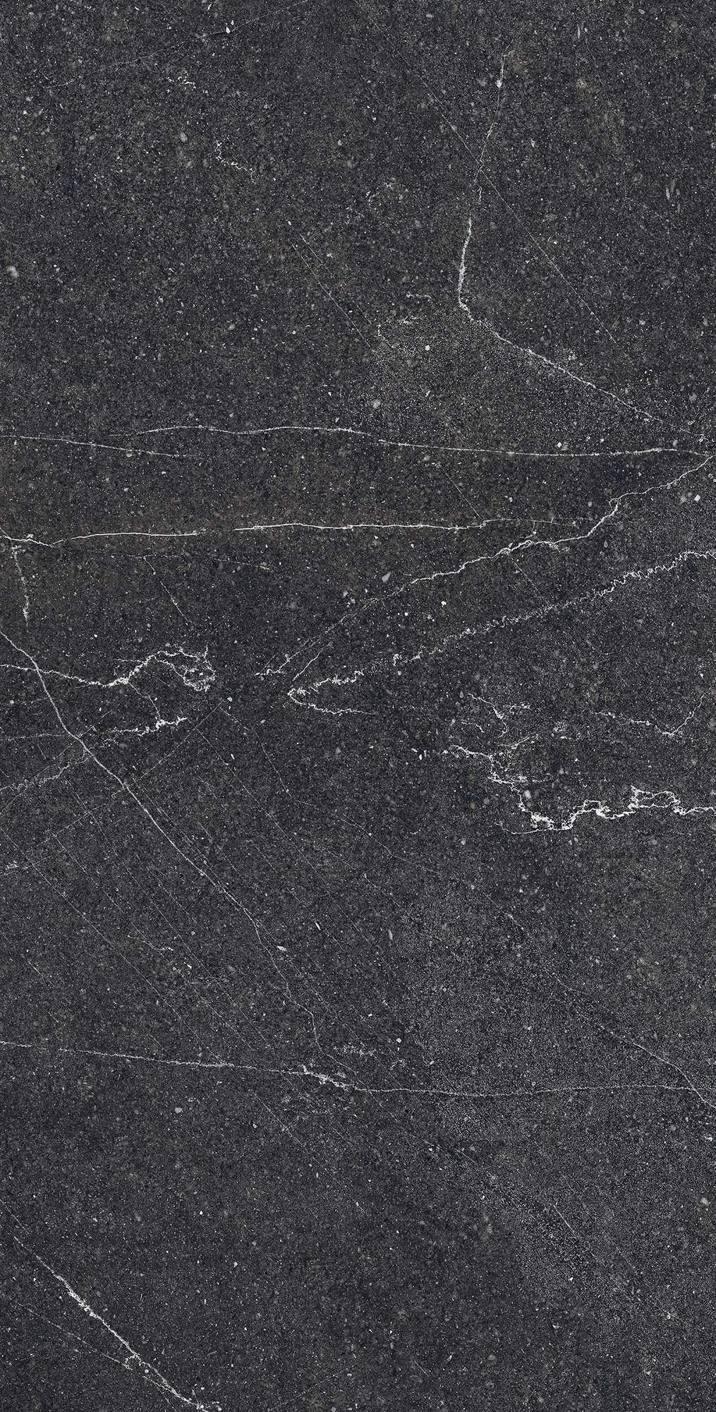 EQUISTONE CHARCOL ARCADIA CERAMICA RG6003-A - Вид №4