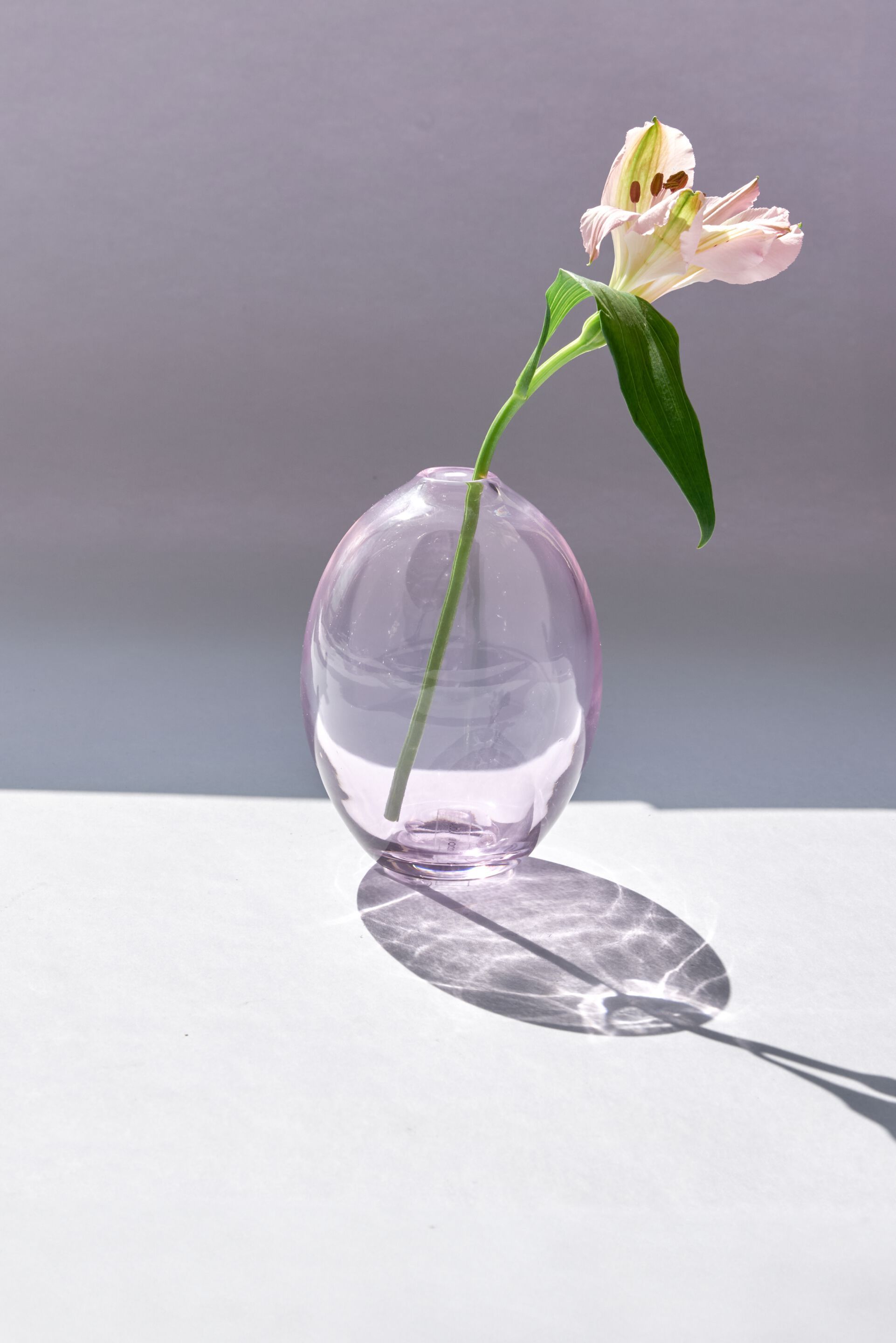 Ваза из дутого стекла Studio Bojola UOVO ARCH-00032599 - Вид №1