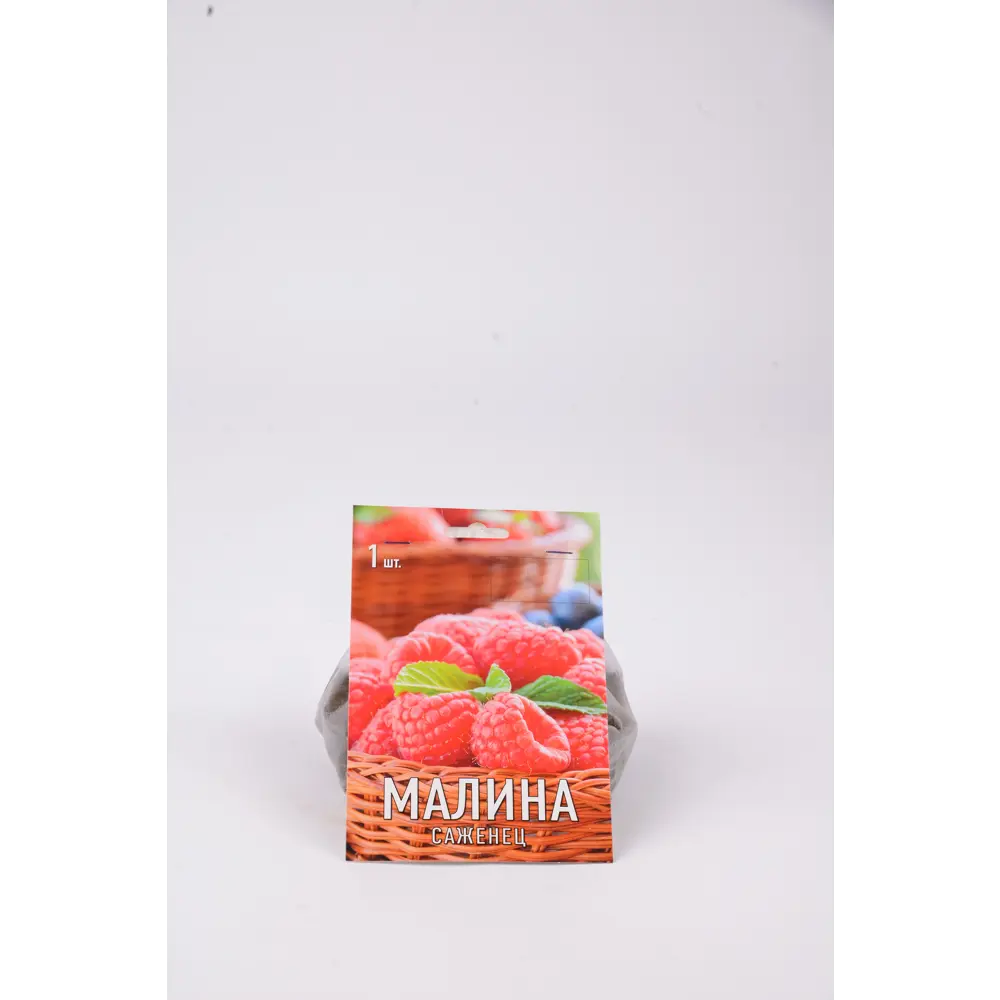 Малина Жар-птица h17 см 83791469 STLM-2050366 Santreyd 