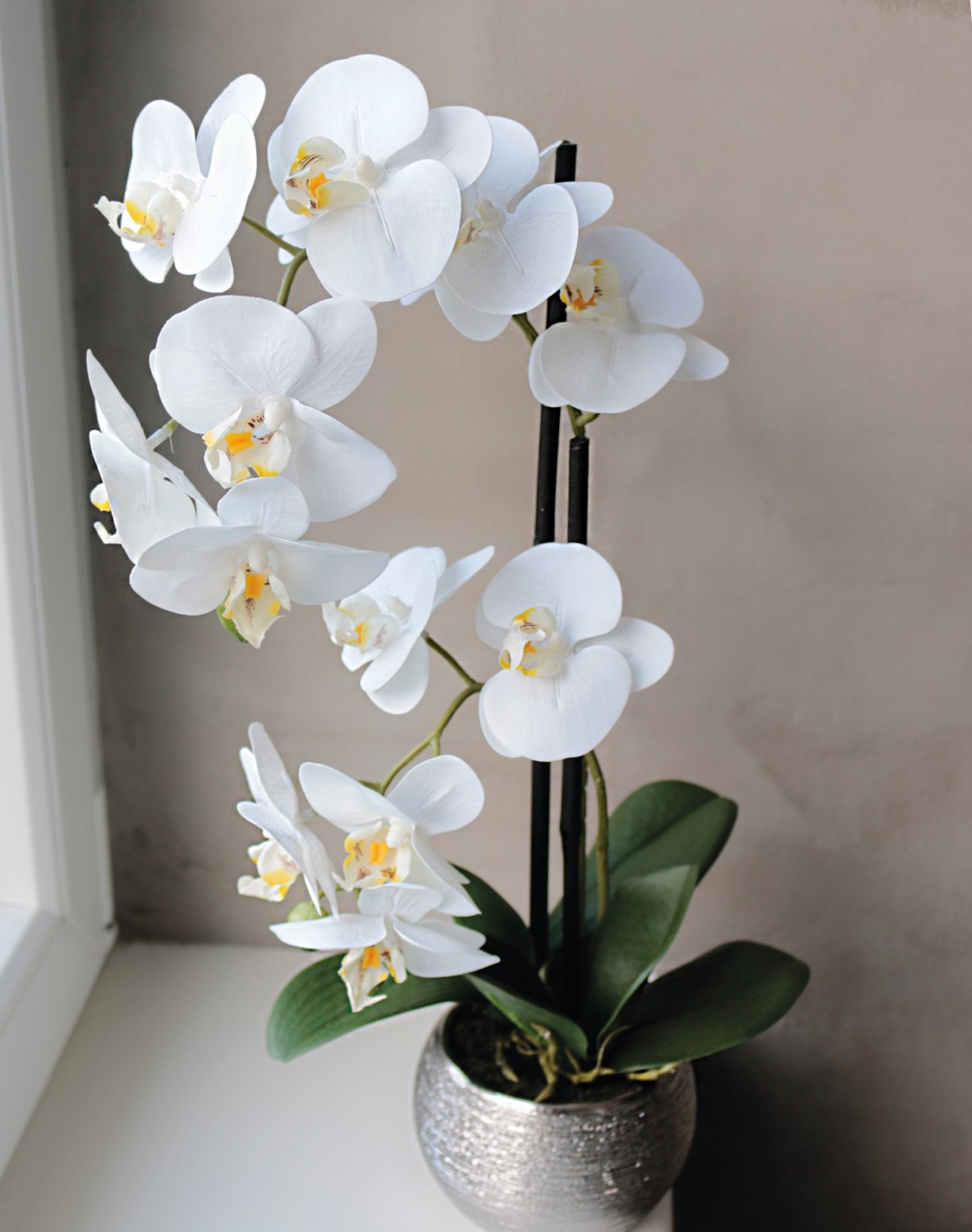 2777 778 a3 Пластиковая орхидея Phalaenopsis, 2-х кратная, горшечная, 45 см, real touch, бежево-белая H-andreas 