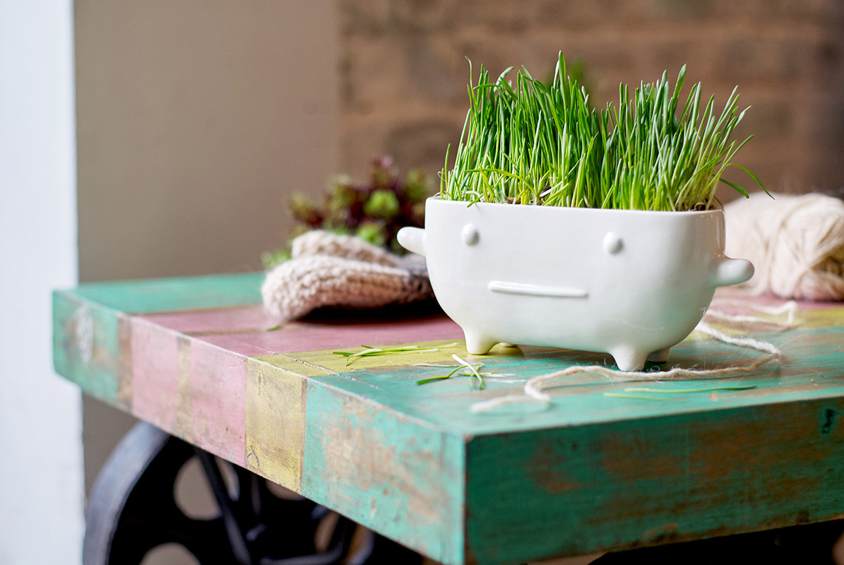 Набор для выращивания Eco Буль ЭКОЧЕЛОВЕКИ 8002 - Вид №1