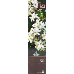Дейция белая в тубе 82539517 STLM-2080073