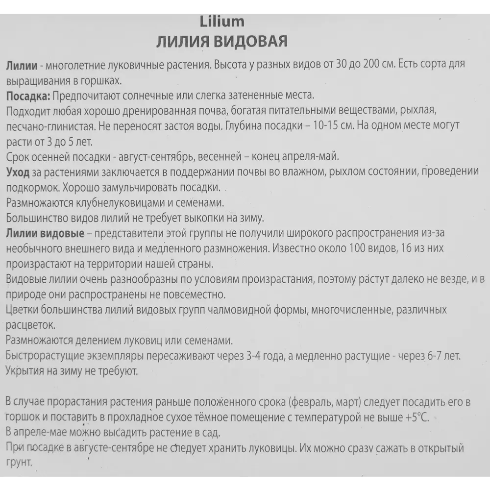 Лилия видовая Генри 85186031 STLM-2027620 ПОИСК  - Вид №2