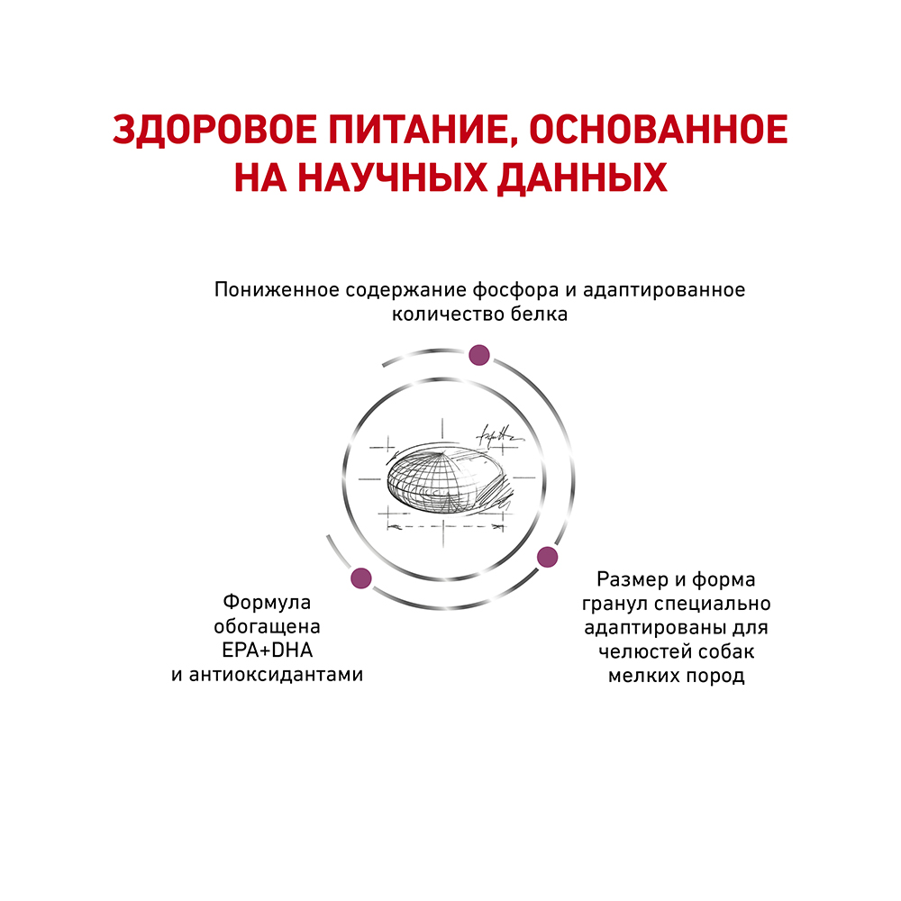 ПР0056152 Корм для собак Vet Diet Renal для мелких пород с хронической болезнью почек сух. 3,5кг ROYAL CANIN  - Вид №2