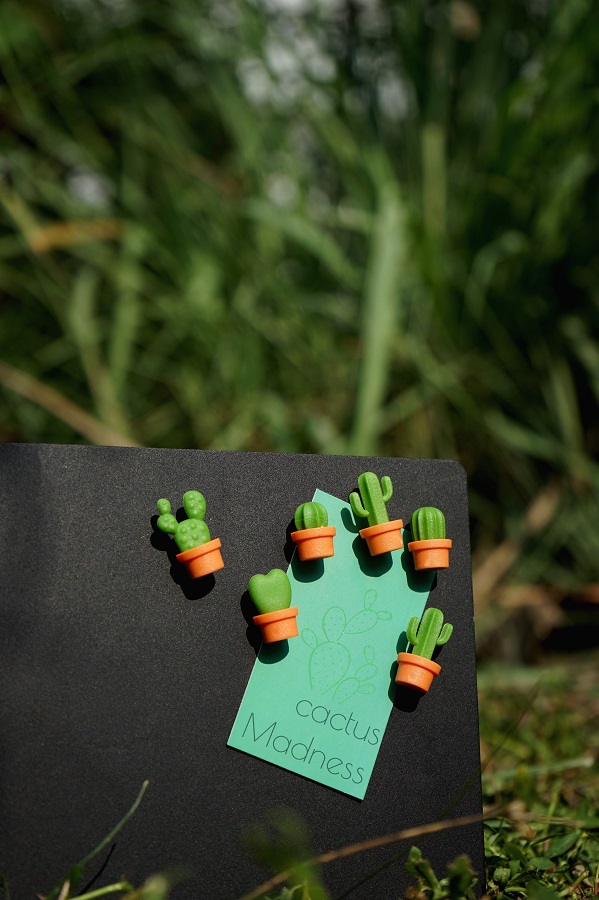 Магниты Cactus, 6 шт Qualy QL10288ORGN - Вид №2