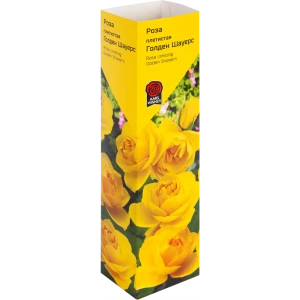 Роза «Плетистая» эконом спрей в ассортименте 82009452 STLM-2200422