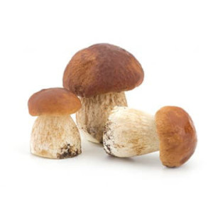 Грибы белые ~500 г